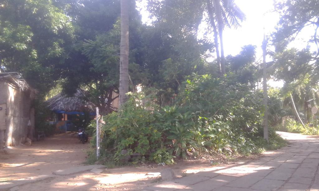 Golden Garden Hampi Guest House المظهر الخارجي الصورة