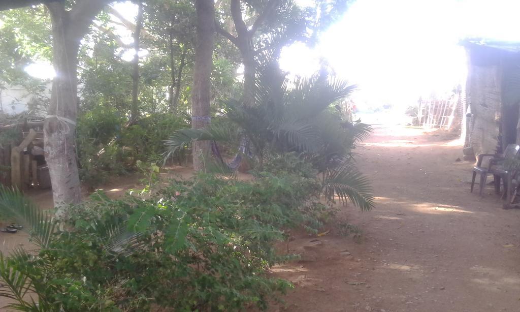 Golden Garden Hampi Guest House المظهر الخارجي الصورة